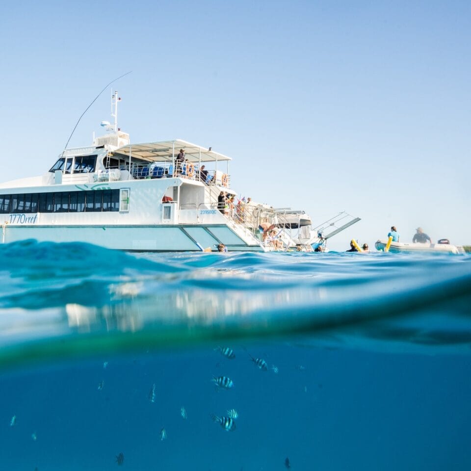 Lady Musgrave Island Tour 1770 Reef Eco Tours 0606