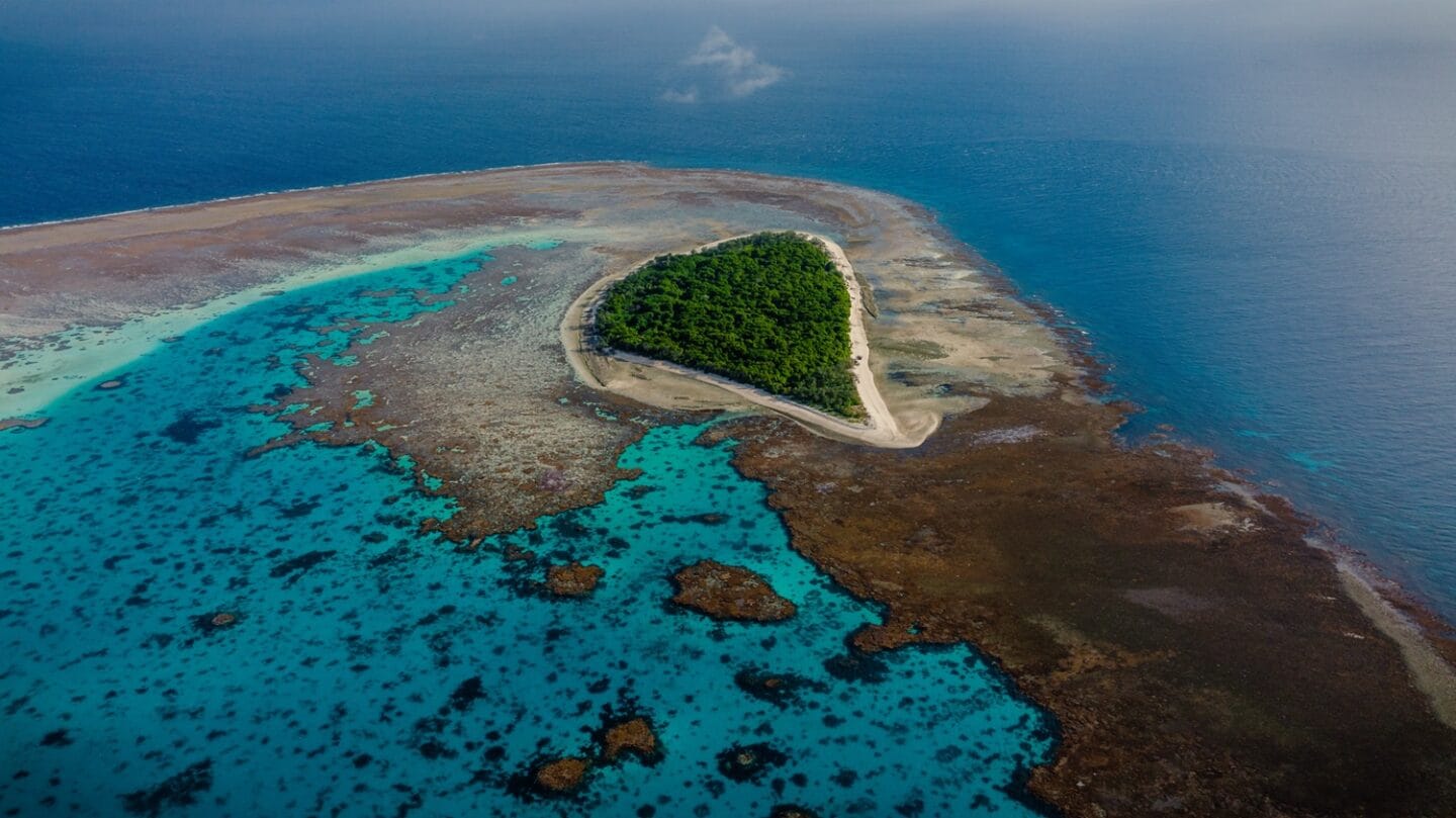 Lady Musgrove Island Walk | 1770 Reef Eco Tours