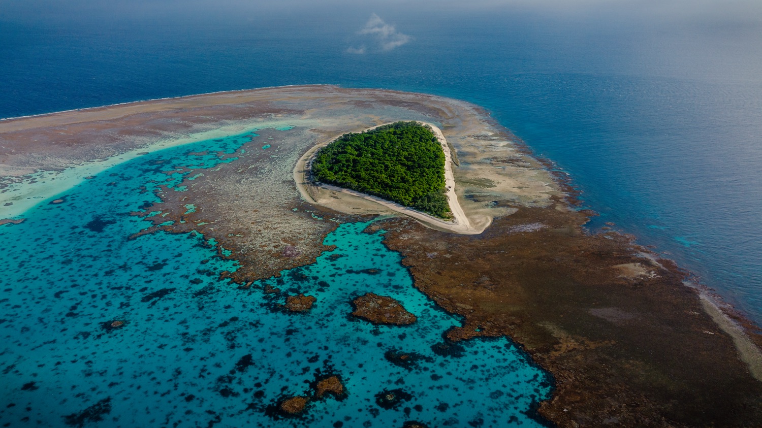 1770reef lady musgrave island walk