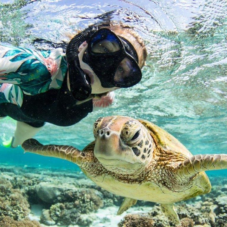 1770reef turtle selfie