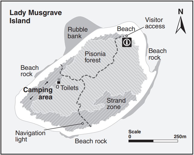 lady musgrave island map