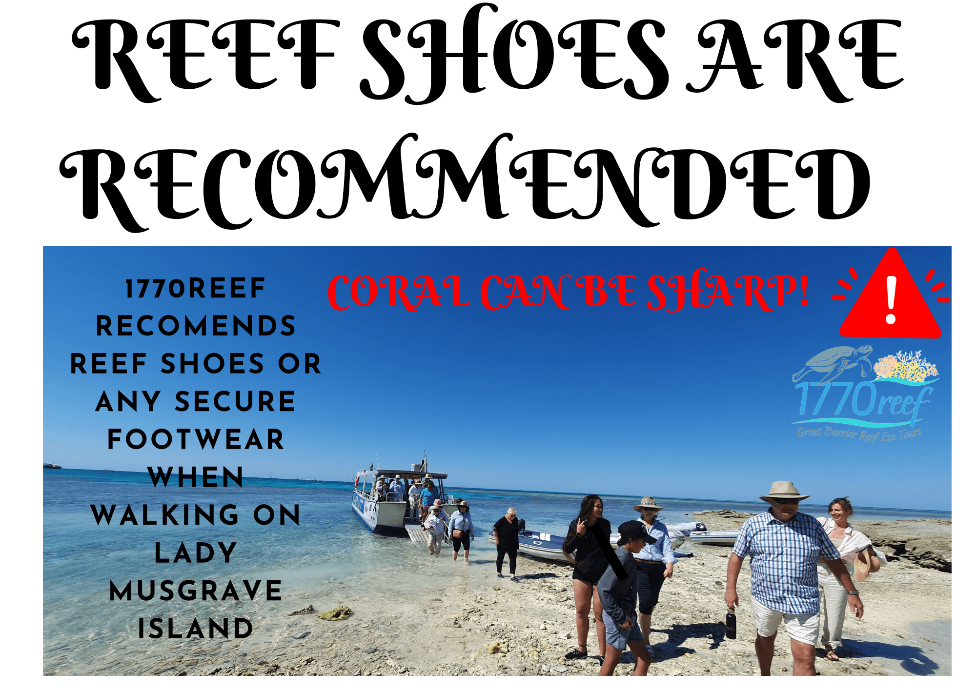 reef shoes 1